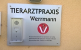 Werrmann